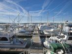 dock and marina in Beaufort, South Carolina