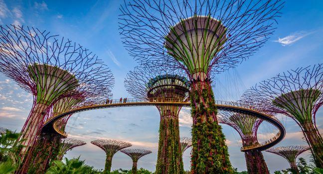 Supertrees in Gardens By the Bay, situated in marina bay area in Singapore, it's a new design garden with innovative.