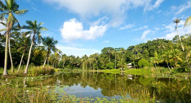 Pond on Pulau Ubn, Singapore; 