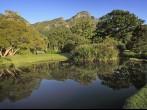 Pond in Kirstenbosch Botanical Garden, suburb of Cape Town, Western Cape, South Africa.