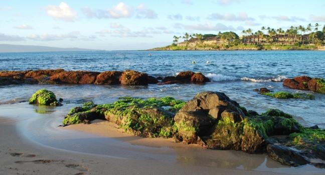Maui beach, Napili Bay moss covered rocks, ocean view.