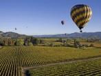 Hot-air Balloons over Vineyards, Napa and Sonoma, California, USA