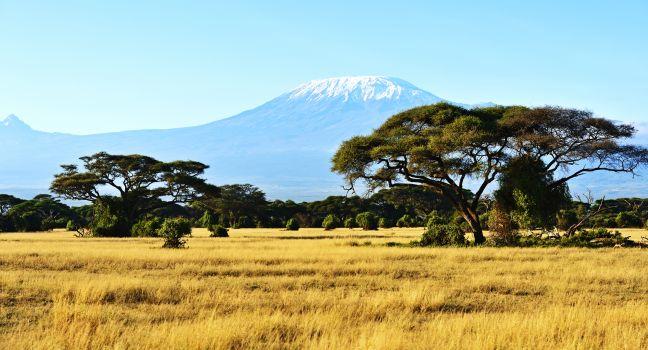 Snow on top of Mount Kilimanjaro in Amboseli 