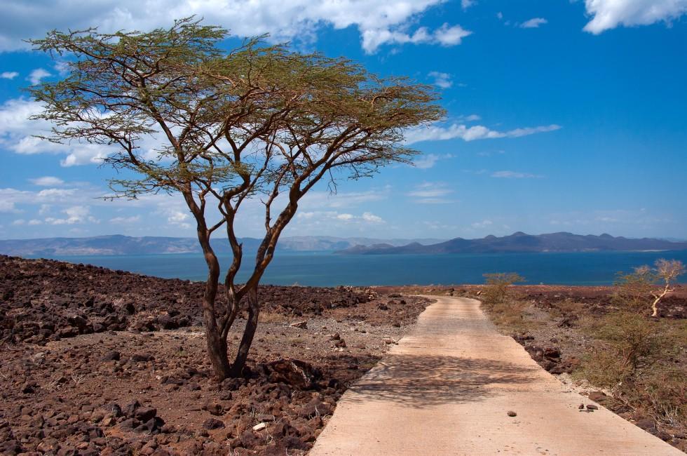 The road to Lake Turkana, Kenya; 