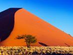 African landscape, beautiful sunset dunes and nature of Namib desert, Sossusvlei, Namibia, South Africa