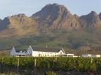 Landscape scenics of vineyards and mountains Stellenbosch Winelands, Western Cape, South Africa.