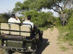 Rear view of a group of tourists in jeep looking at elephant; 