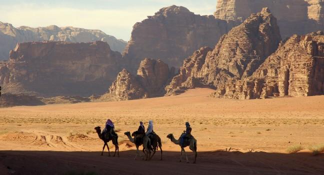 Camel Trek, Wadi Rum