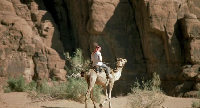 Camel Trek, Bedouin Encampment, Wadi Rum, Petra, Jordan