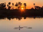 Sunset in the Okavango Delta, Botswana, Africa. 